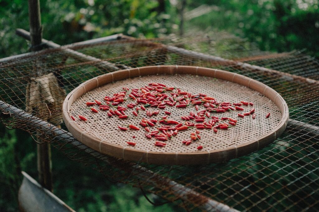 Contactar Agricultor Felipe en Toledo , food, pepper, cooking, red, spicy, countryside, farm, field, village, harvest